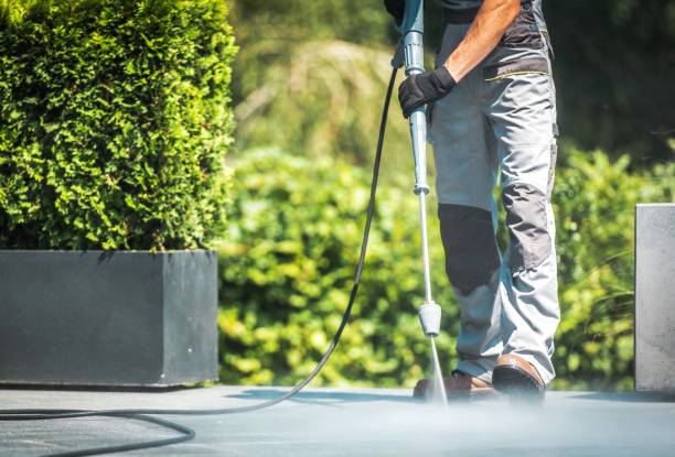 Best Animal Enclosure Cleaning  in Youngstown, NY